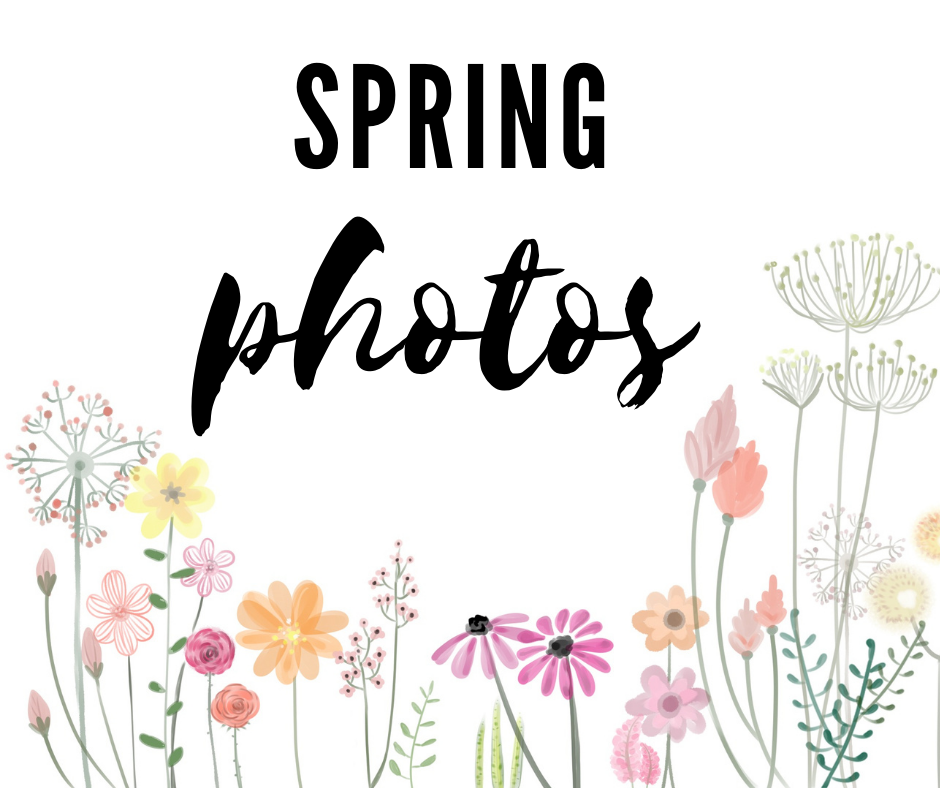 Spring Photos